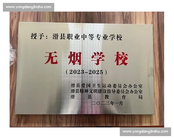 铜牌荣誉背后的坚持与努力彰显非凡奋斗精神